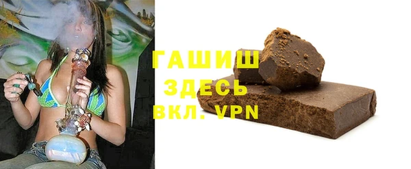 гашик Алексин
