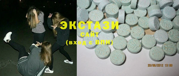 гашик Алексин