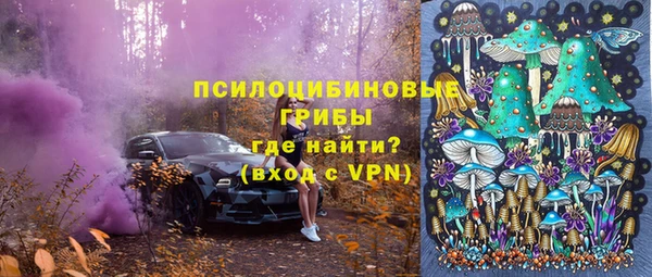 гашик Алексин