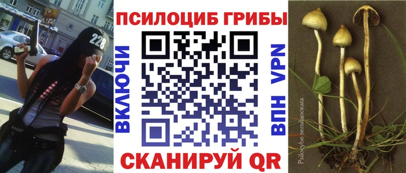 Псилоцибиновые грибы Psilocybe гидра ТОР Змеиногорск